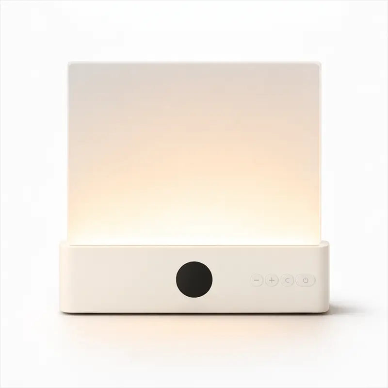 The Night Reader's Lamp