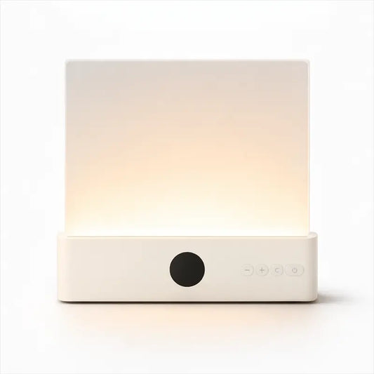 The Night Reader's Lamp