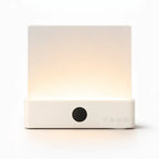 The Night Reader's Lamp