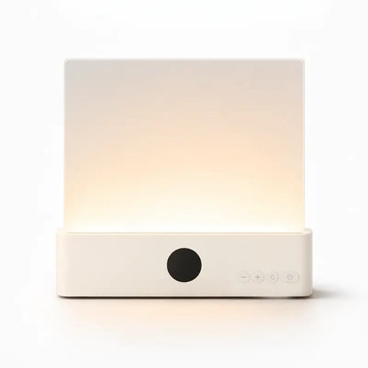 The Night Reader's Lamp